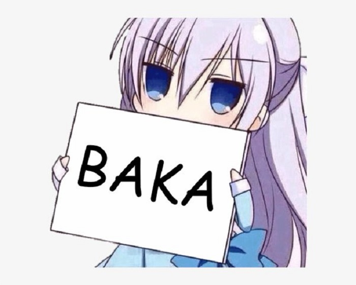 What does baka mean